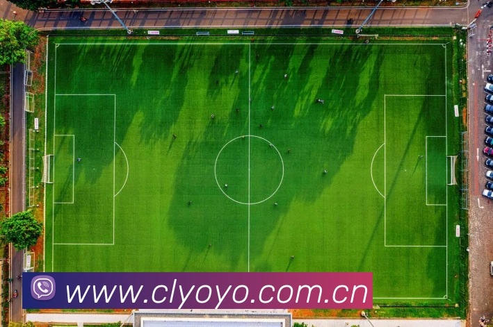 国际米兰官方网站APP 体育赛事宣传图